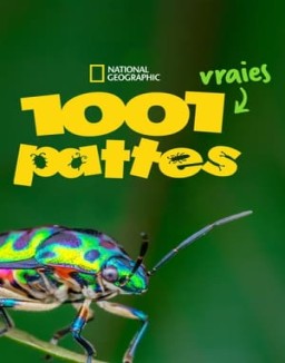 1001 vraies pattes saison 1