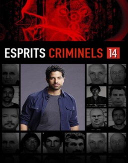 Esprits criminels saison 14