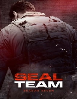 SEAL Team